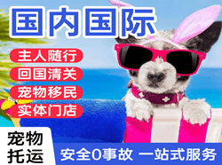 连云港航空邮寄国际宠物托运 【国